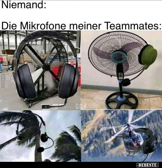 Niemand: Die Mikrofone meiner Teammates..