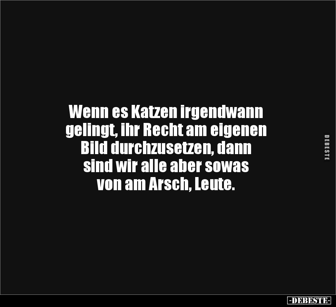 Wenn es Katzen irgendwann 
gelingt, ihr Recht am eigenen 
Bild durchzusetzen, dann 
sind wir alle aber sowas 
von am Arsc...