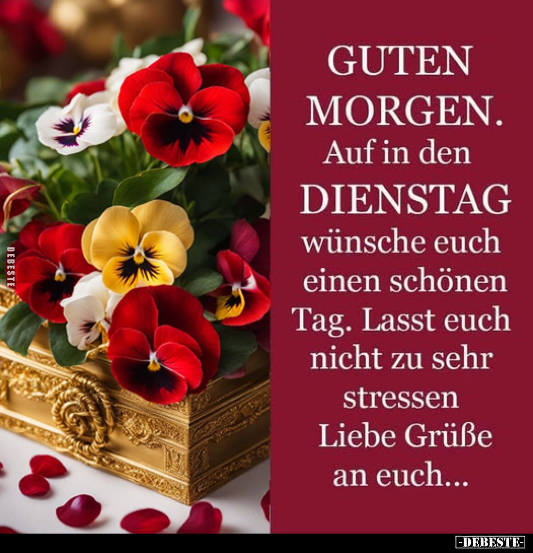 GUTEN MORGEN. Auf in den DIENSTAG wünsche euch einen.. - Lustige Bilder | DEBESTE.de