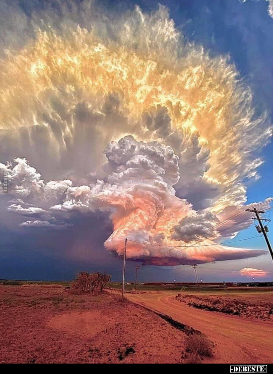  - Lustige Bilder | DEBESTE.de