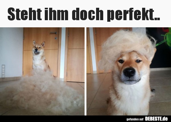 
Steht ihm doch perfekt..
