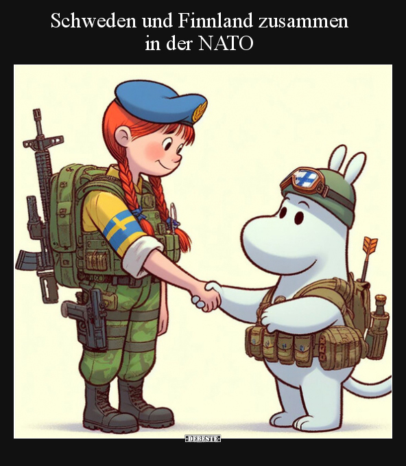 Schweden und Finnland zusammen in der NATO.. - Lustige Bilder | DEBESTE.de