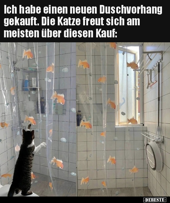 Ich habe einen neuen Duschvorhang gekauft. Die Katze freut.. - Lustige Bilder | DEBESTE.de