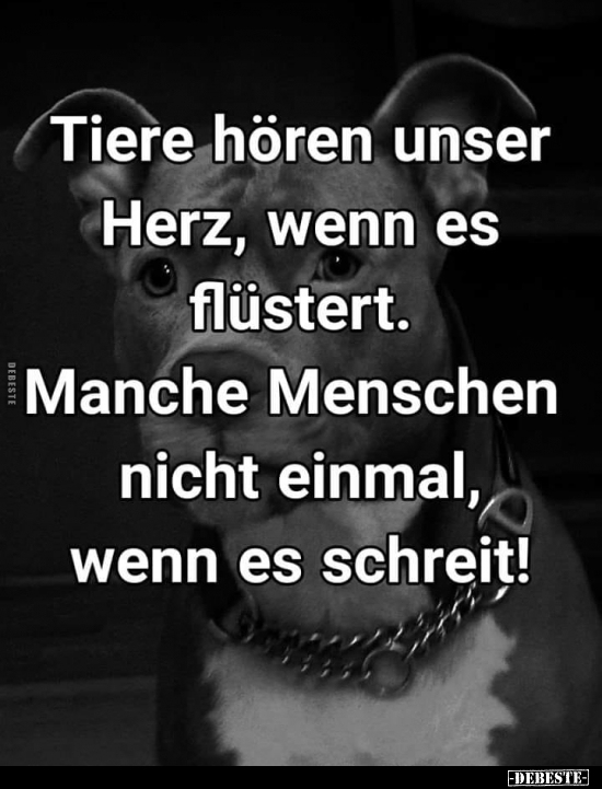 Tiere hören unser Herz, wenn es flüstert.. - Lustige Bilder | DEBESTE.de