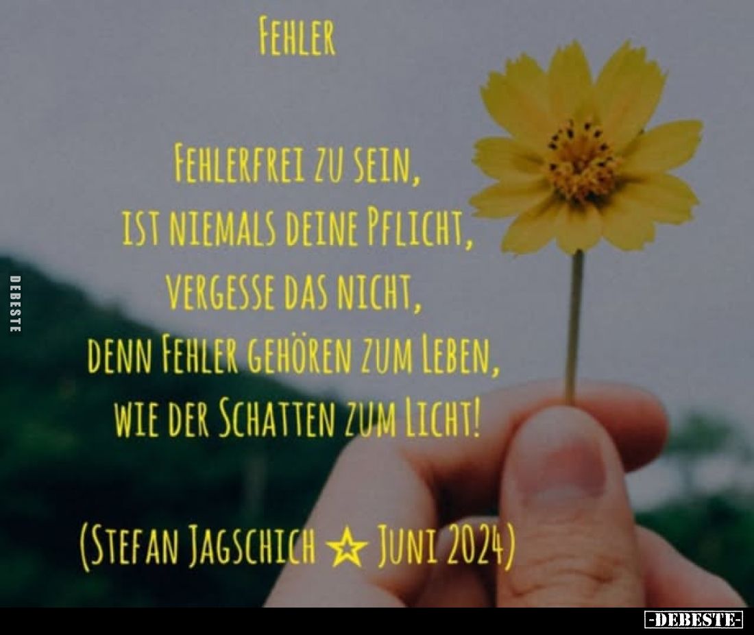 Fehler.
Fehlerfrei zu sein, ist niemals deine Pflicht, vergesse das nicht, denn Fehler gehören zum Leben, wie der Schatten z...