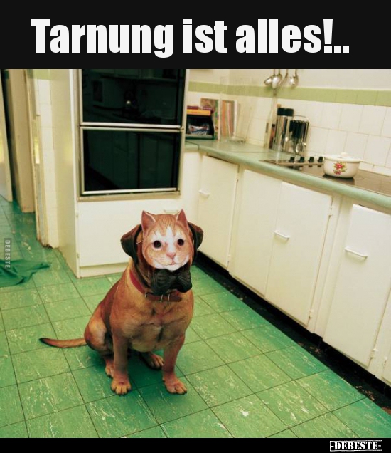 Tarnung ist alles!..
