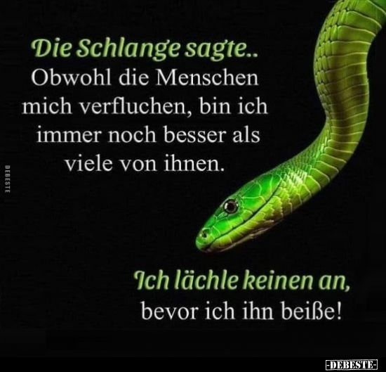 Die Schlange sagte.. Obwohl die Menschen mich verfluchen.. - Lustige Bilder | DEBESTE.de