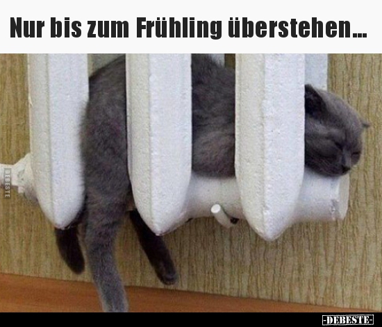 Nur bis zum Frühling überstehen..