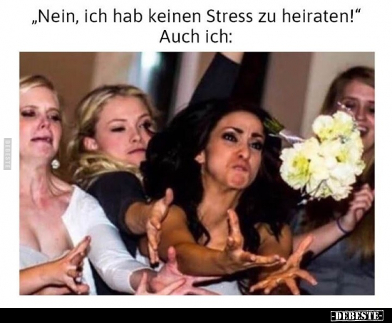 "Nein, ich hab keinen Stress zu heiraten!" Auch ich.. - Lustige Bilder | DEBESTE.de