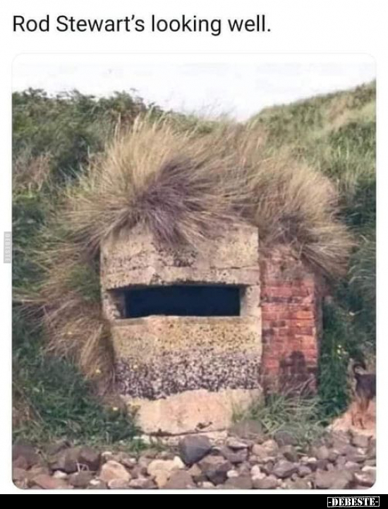 Rod Stewart's looking well.