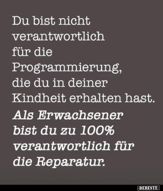 Du bist nicht verantwortlich für die Programmierung..