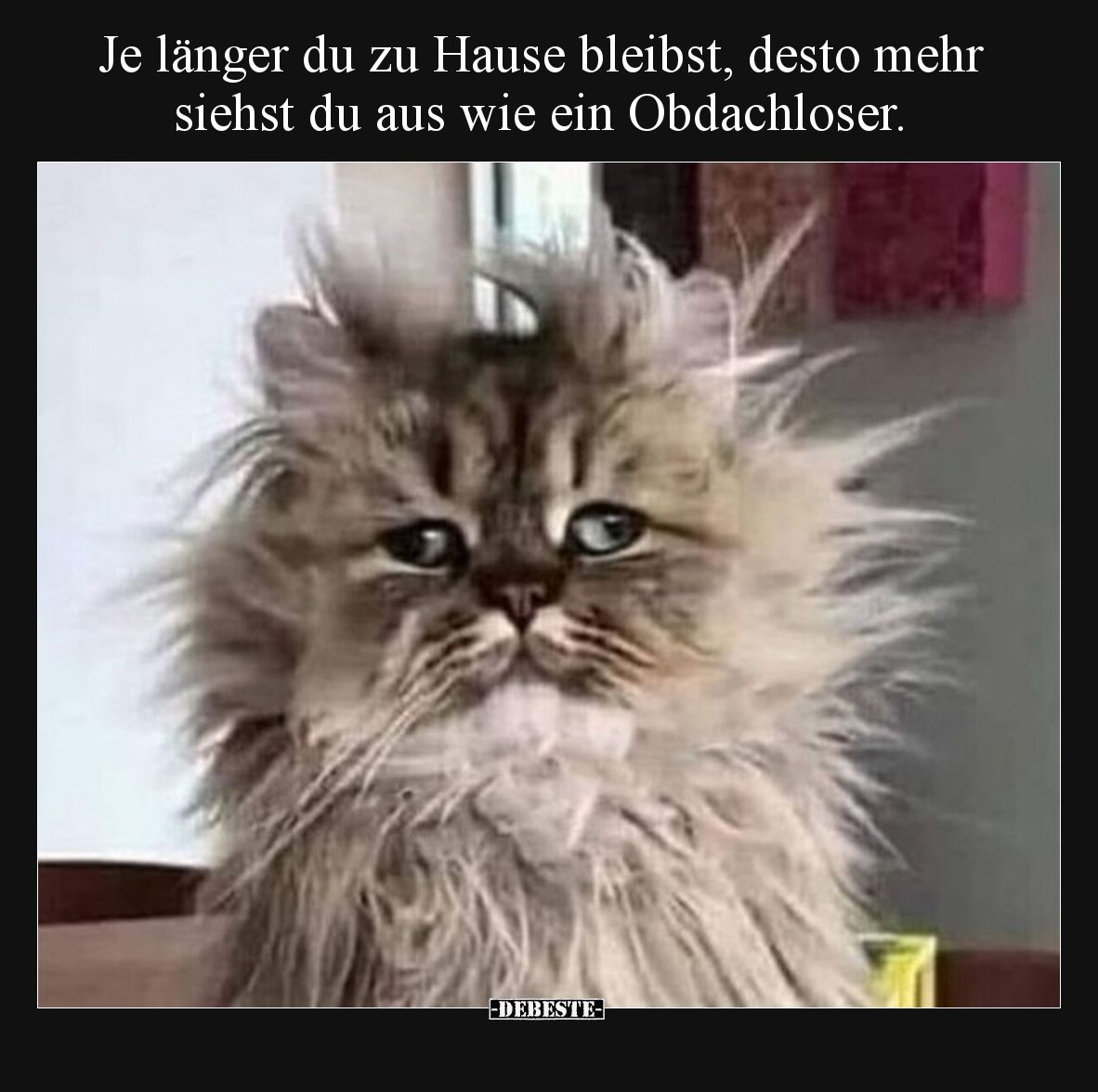 Je länger du zu Hause bleibst, desto mehr siehst du aus wie ein Obdachloser.