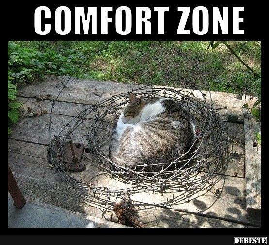 Comfort Zone..