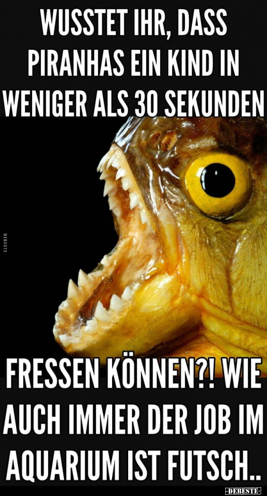 Wusstet ihr, dass Piranhas ein Kind in weniger als 30.. - Lustige Bilder | DEBESTE.de