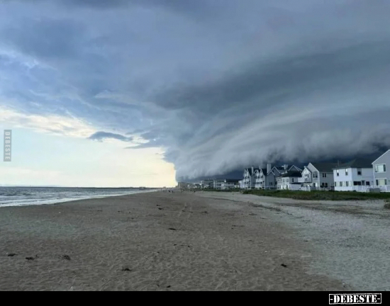  - Lustige Bilder | DEBESTE.de