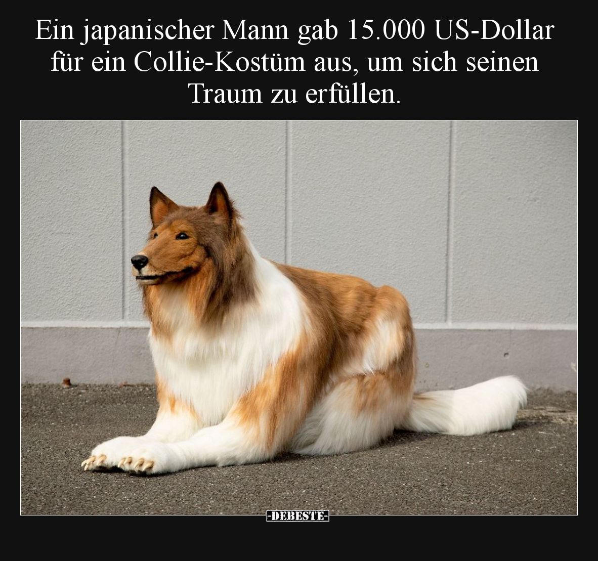 Ein japanischer Mann gab 15.000 US-Dollar für ein Collie-Kostüm aus, um sich seinen Traum zu erfüllen.