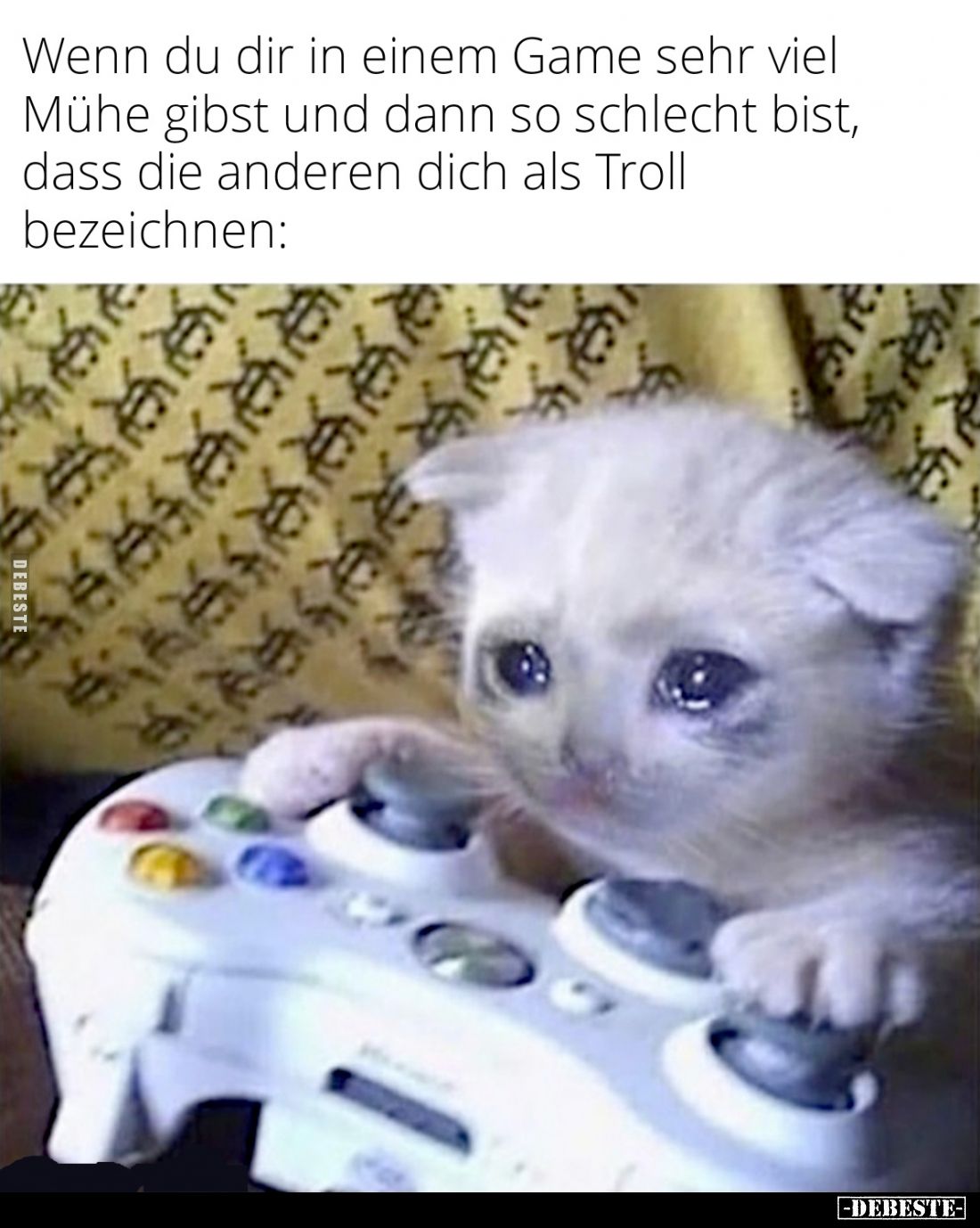 Wenn du dir in einem Game sehr viel Mühe gibst und dann so schlecht bist, dass die anderen dich als Troll bezeichnen: