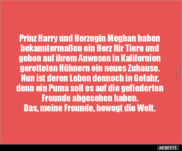 Prinz Harry und Herzogin Meghan haben bekanntermaßen ein.. - Lustige Bilder | DEBESTE.de