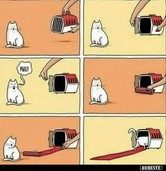  - Lustige Bilder | DEBESTE.de