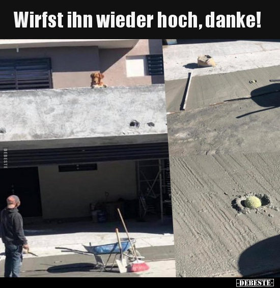 Wirfst ihn wieder hoch, danke!.. - Lustige Bilder | DEBESTE.de