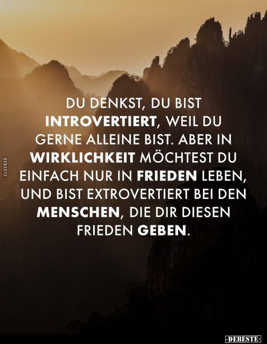 Du denkst, du bist introvertiert, weil du gerne alleine.. - Lustige Bilder | DEBESTE.de