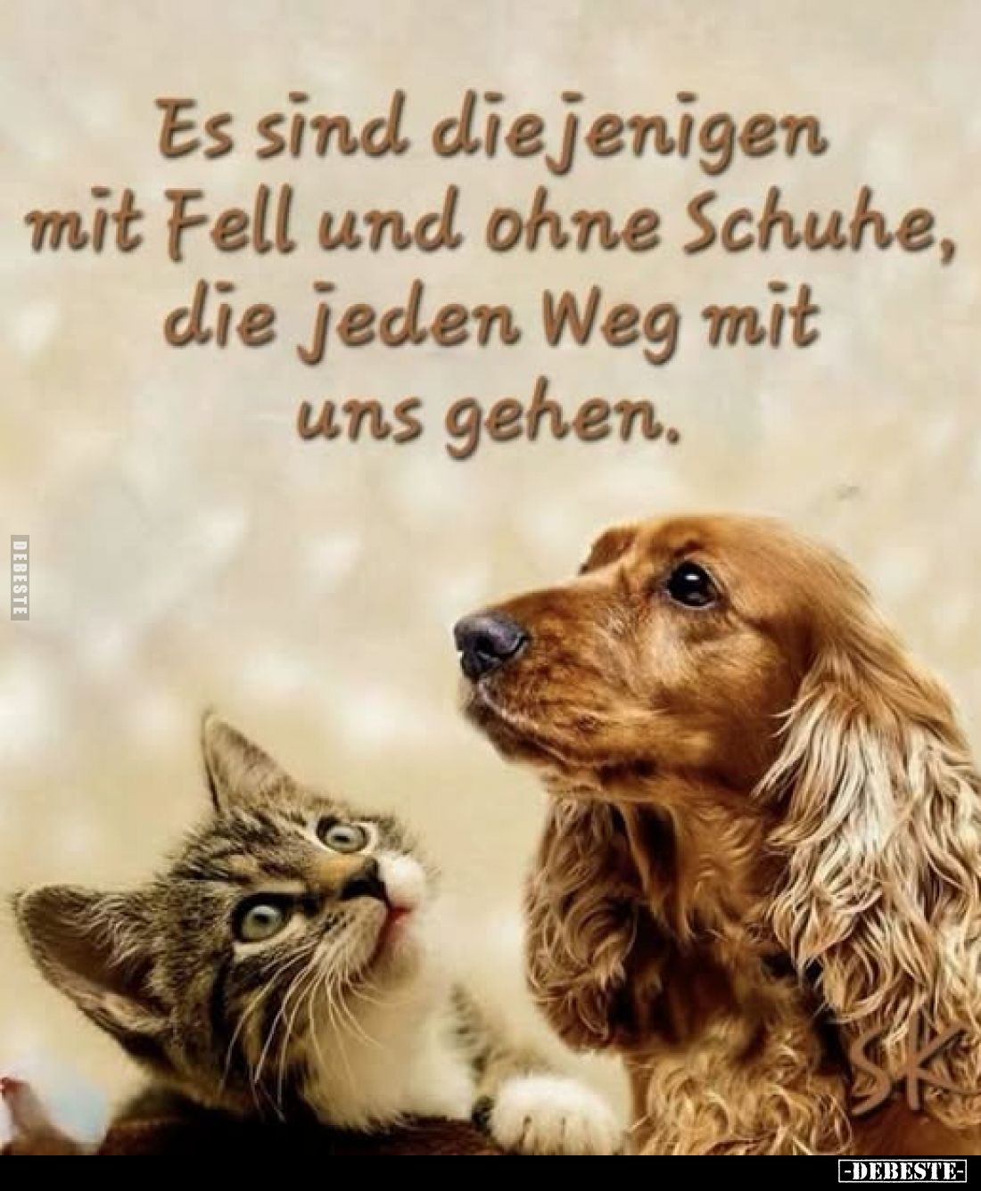 Es sind diejenigen mit Fell und ohne Schuhe.. - Lustige Bilder | DEBESTE.de