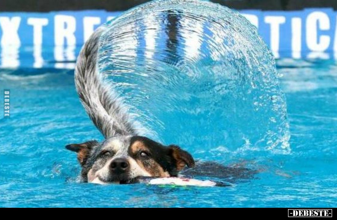  - Lustige Bilder | DEBESTE.de