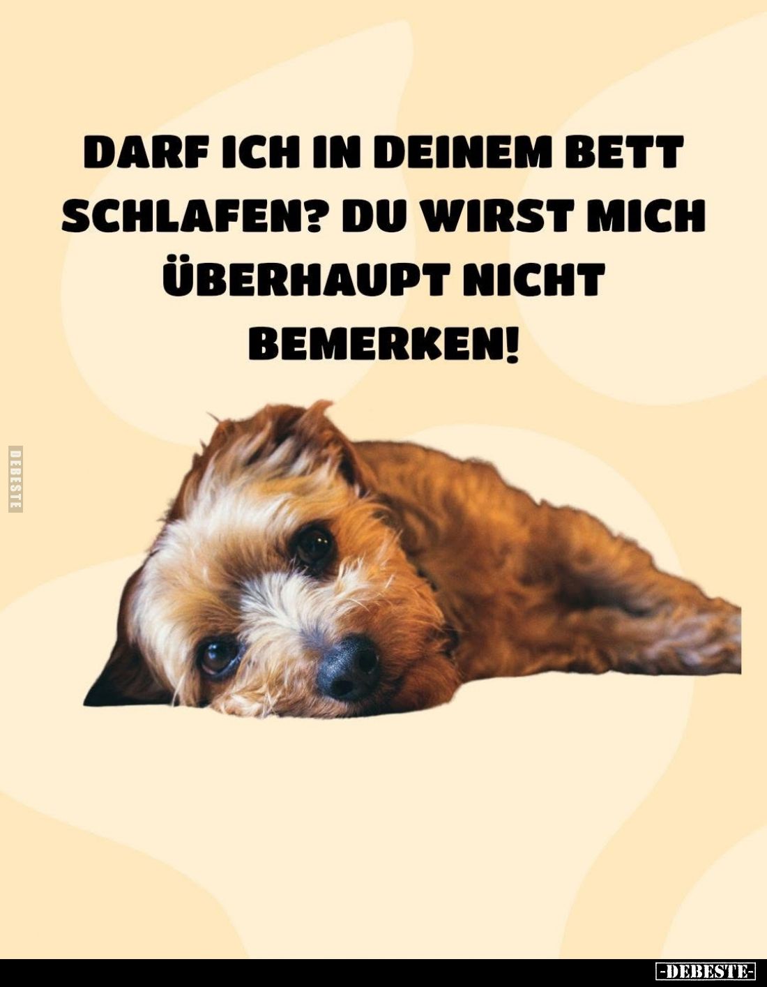 Darf ich in deinem Bett schlafen? Du wirst mich überhaupt nicht bemerken!