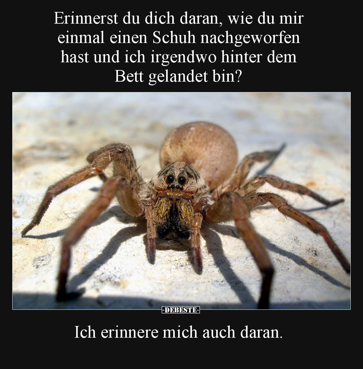 Erinnerst du dich daran, wie du mir einmal einen Schuh.. - Lustige Bilder | DEBESTE.de