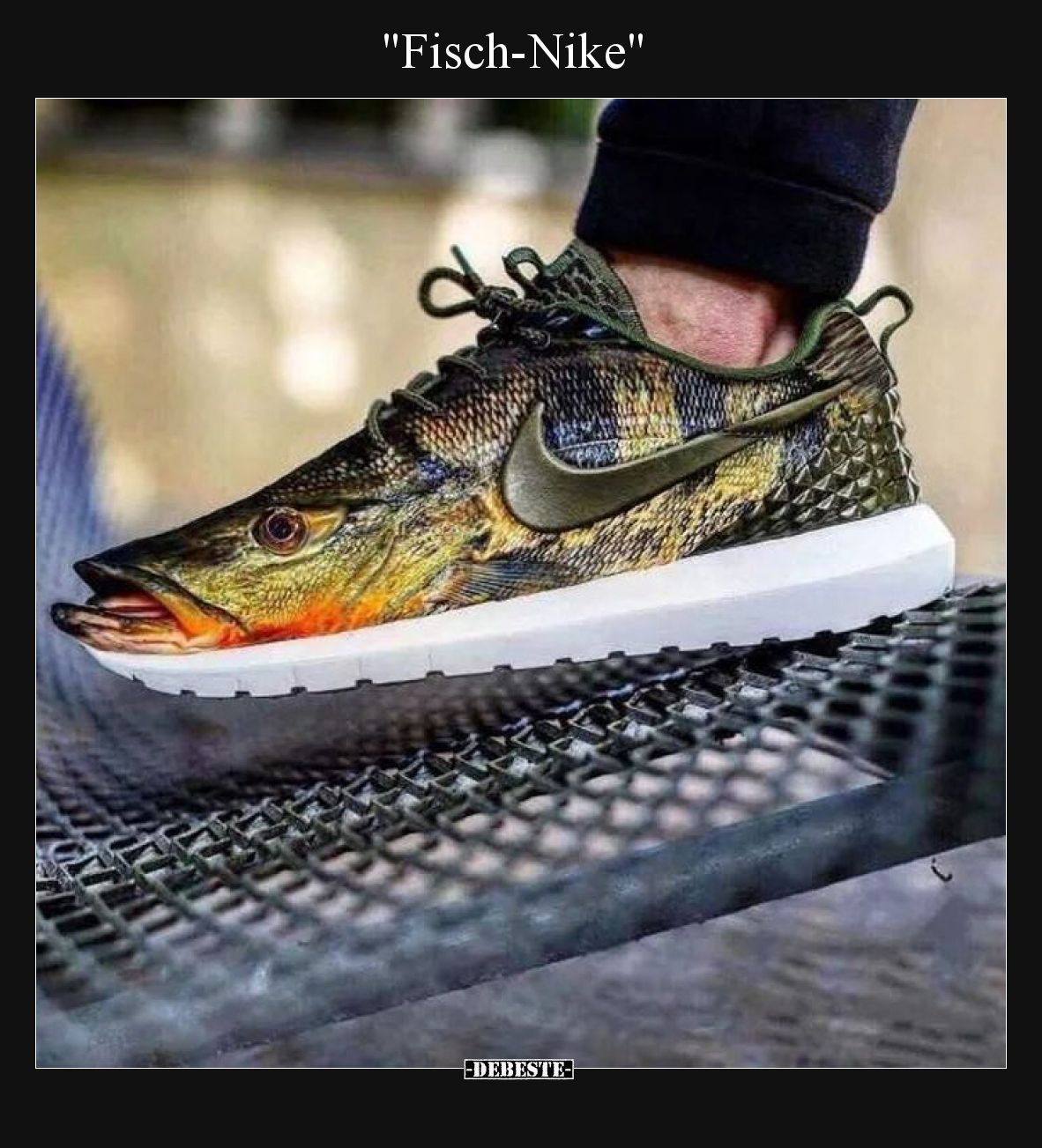 "Fisch-Nike".. - Lustige Bilder | DEBESTE.de
