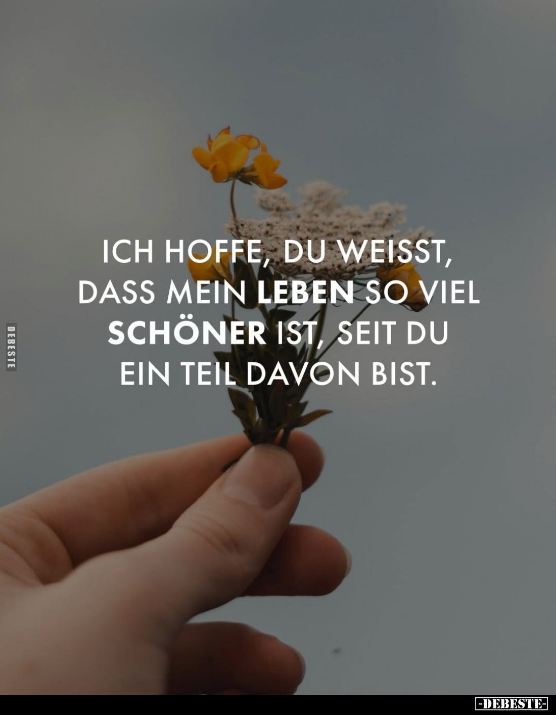 Ich hoffe, du weisst, dass mein Leben so viel schöner ist, seit du ein Teil davon bist.