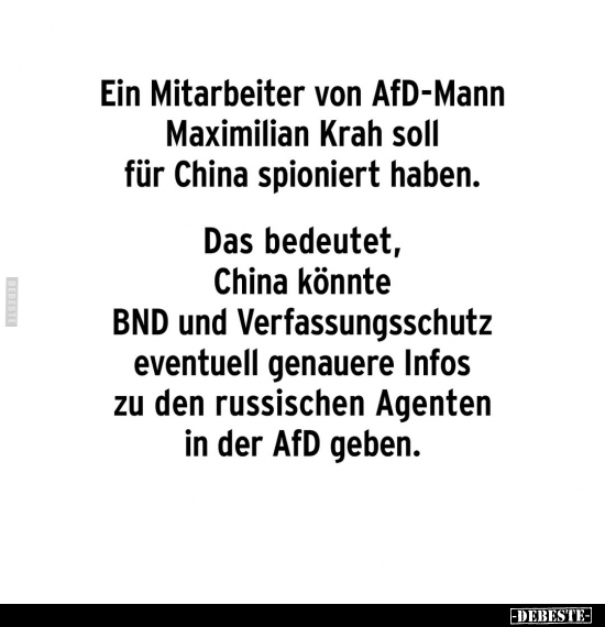 Ein Mitarbeiter von AfD-Mann Maximilian Krah soll für China.. - Lustige Bilder | DEBESTE.de