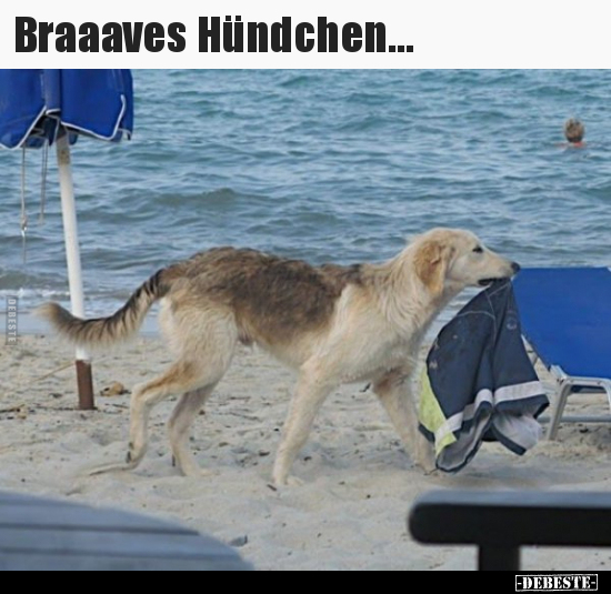 Braaaves Hündchen... - Lustige Bilder | DEBESTE.de