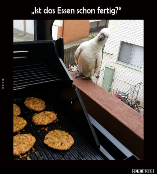 "Ist das Essen schon fertig?".. - Lustige Bilder | DEBESTE.de