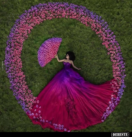  - Lustige Bilder | DEBESTE.de