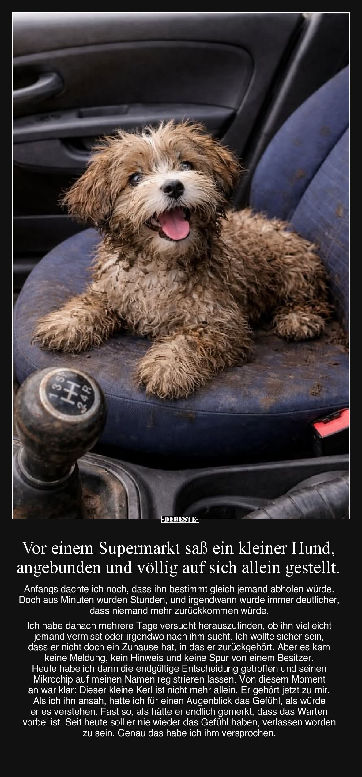 Vor einem Supermarkt saß ein kleiner Hund, angebunden und völlig auf sich allein gestellt. Anfangs dachte ich noch, dass ihn ...