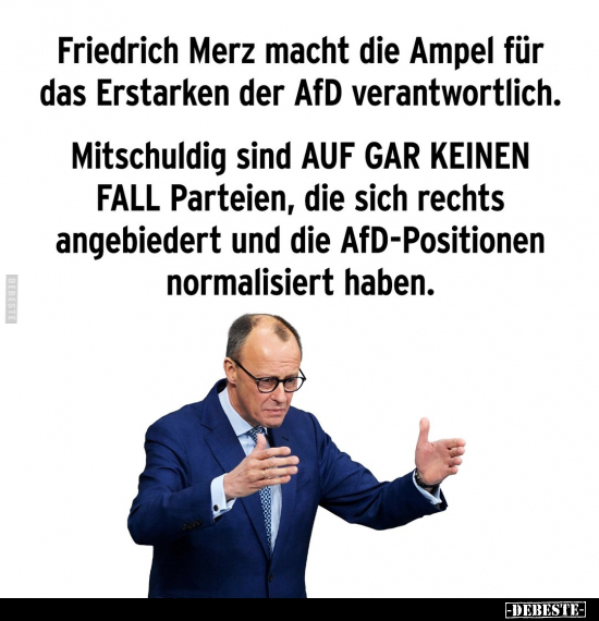 Friedrich Merz macht die Ampel für das Erstarken der AfD.. - Lustige Bilder | DEBESTE.de