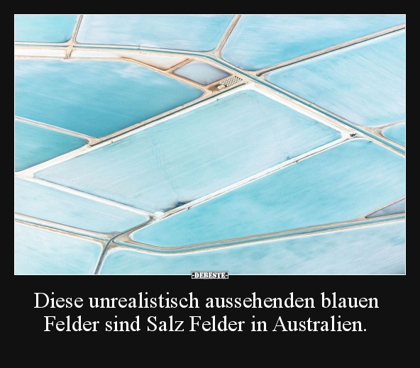 Diese unrealistisch aussehenden blauen Felder sind.. - Lustige Bilder | DEBESTE.de