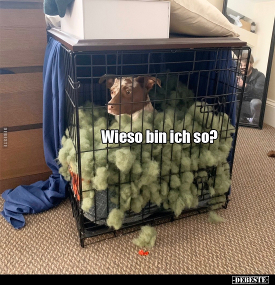 Wieso bin ich so?..