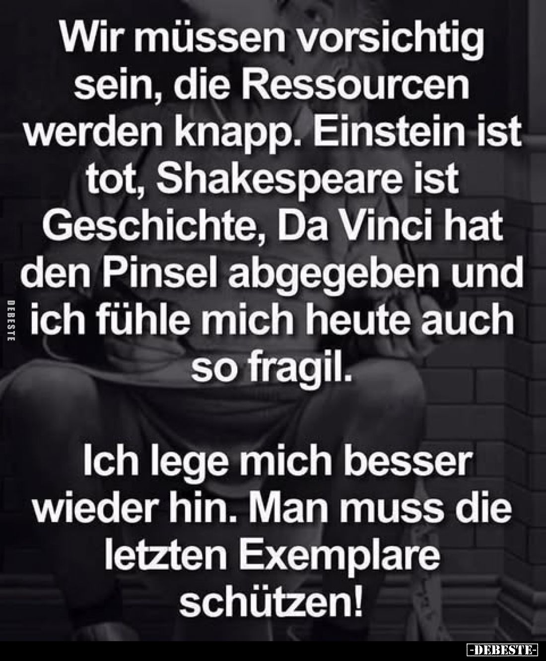 Wir müssen vorsichtig sein, die Ressourcen werden knapp. Einstein ist tot, Shakespeare ist Geschichte, Da Vinci hat den Pinse...