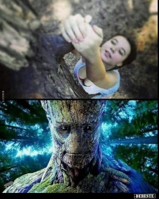  - Lustige Bilder | DEBESTE.de