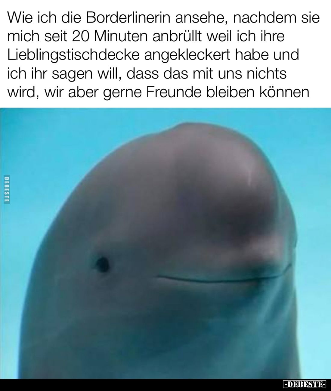 Wie ich die Borderlinerin ansehe, nachdem sie mich seit 20 Minuten anbrüllt weil ich ihre Lieblingstischdecke angekleckert ha...