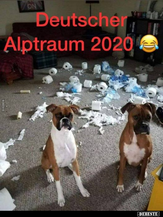 Deutscher Alptraum 2020.. - Lustige Bilder | DEBESTE.de