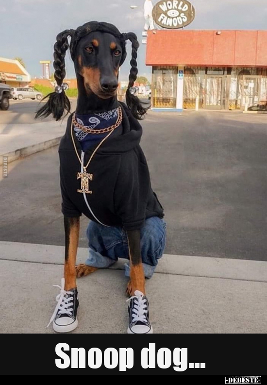 Snoop dog... - Lustige Bilder | DEBESTE.de