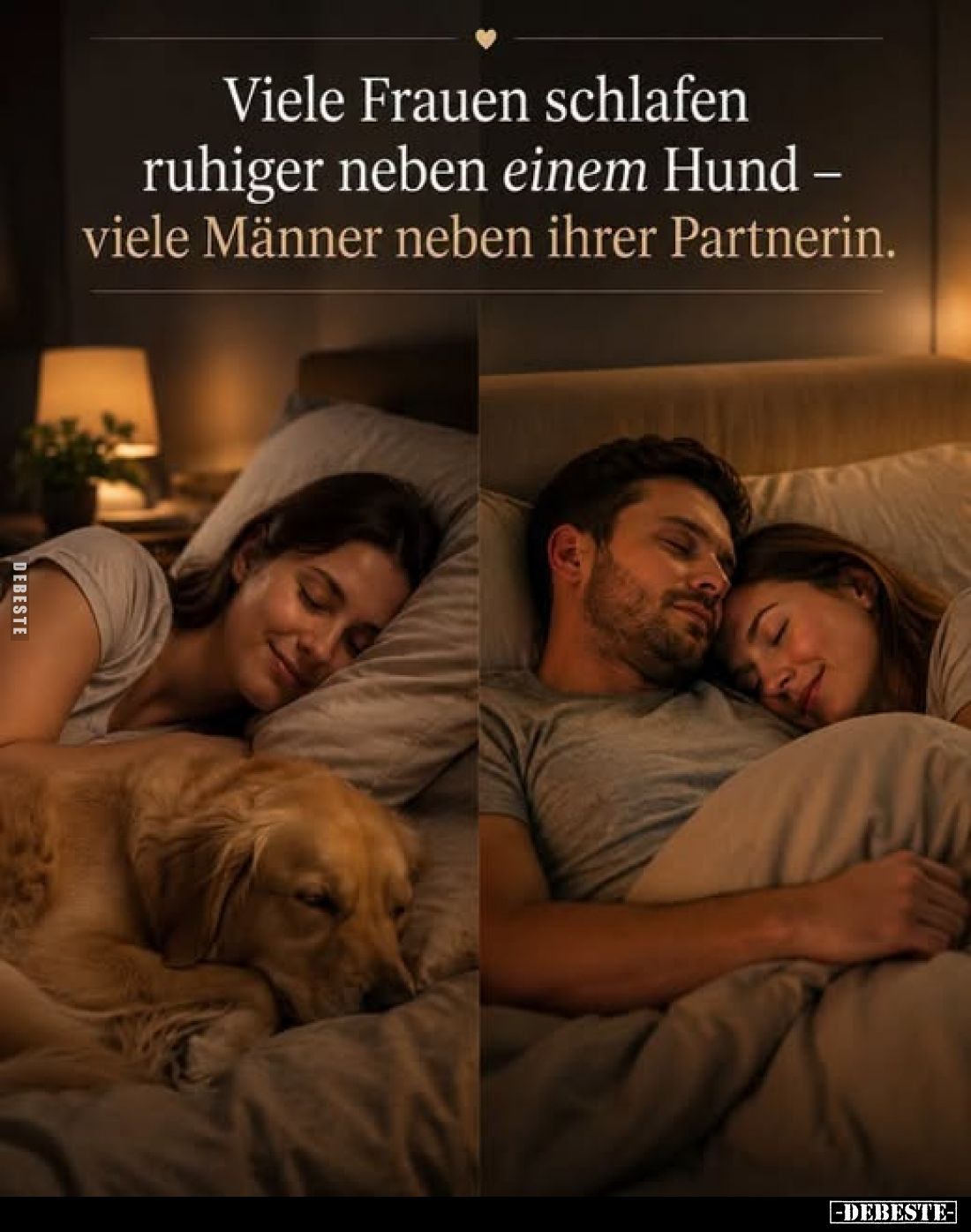Viele Frauen schlafen ruhiger neben einem Hund – viele Männer neben ihrer Partnerin.