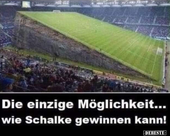 41 lustige Bilder von Schalke in 2021 | Lustig