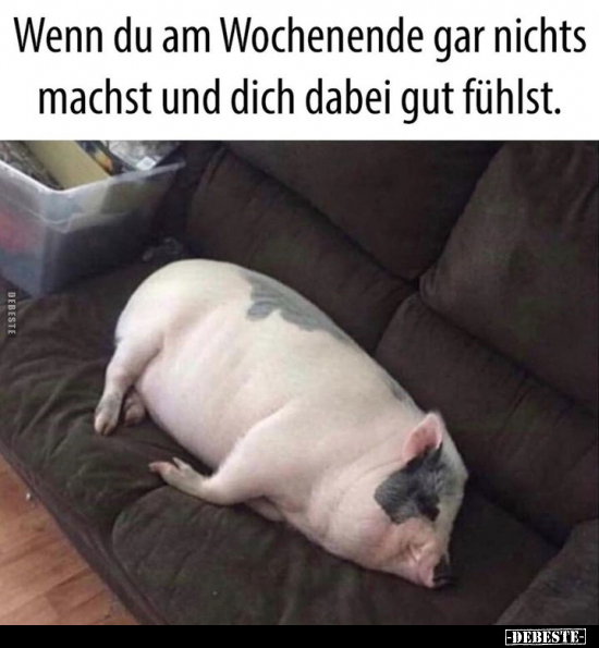 Wenn du am Wochenende.. - Lustige Bilder | DEBESTE.de