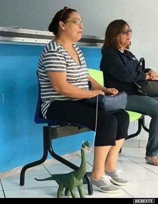  - Lustige Bilder | DEBESTE.de