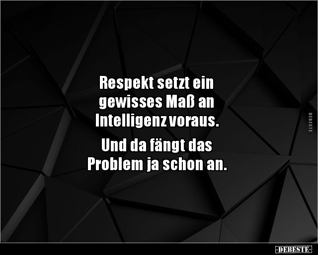 Respekt setzt ein gewisses Maß an Intelligenz.. - Lustige Bilder | DEBESTE.de