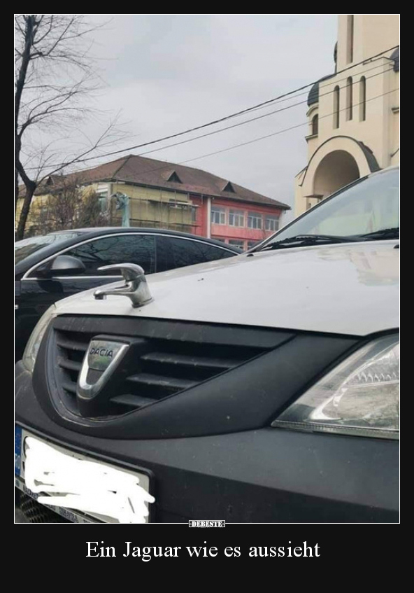 Ein Jaguar wie es aussieht..